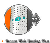 Bronze Web Hosting PLan